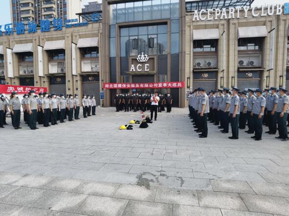 轉載：颯！酷！高溫下的襄陽街頭驚現一群“獵鷹”！